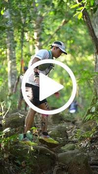 BIB:  <button type="button" onclick="openModal(27641803)" class="btn btn-primary btn-sm float-right" data-toggle="modal" data-target=".modal-high-quality">
                <i class="fa fa-download"></i> Download
                </button>